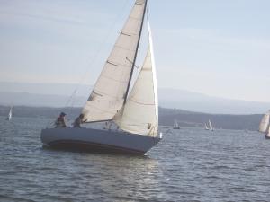 DANGELO 24 Windy