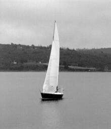 DANGELO 24 ACEITUNA